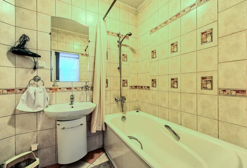 １ベッドルームアパートメント, Oksanas Nevskiy 88