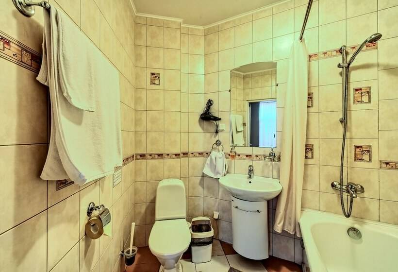 １ベッドルームアパートメント, Oksanas Nevskiy 88