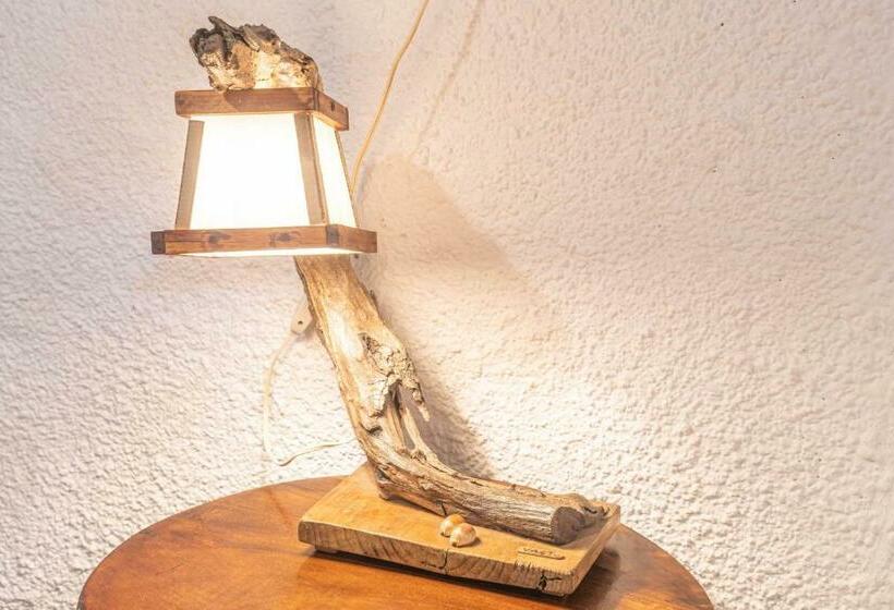 غرفة قياسية, Caracolito