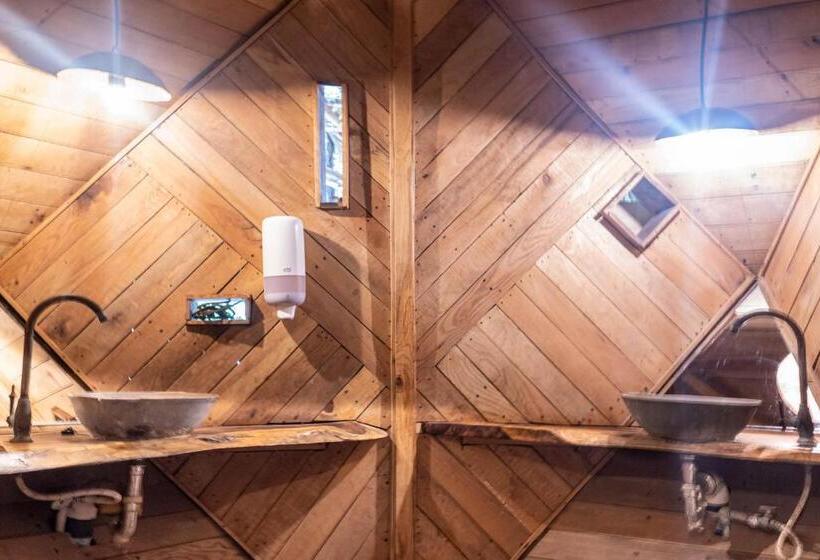 سرير فى غرفة مشتركه, Caracolito