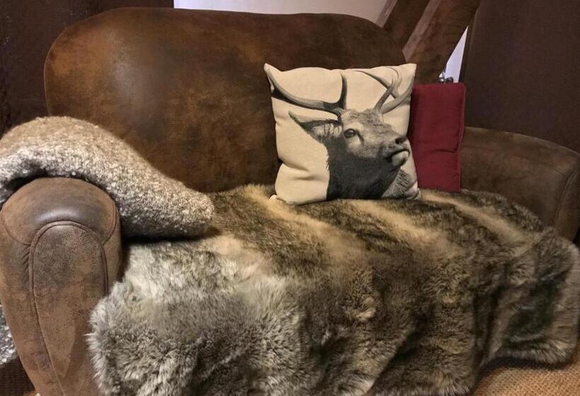 패밀리 룸, La Clé Des Bois