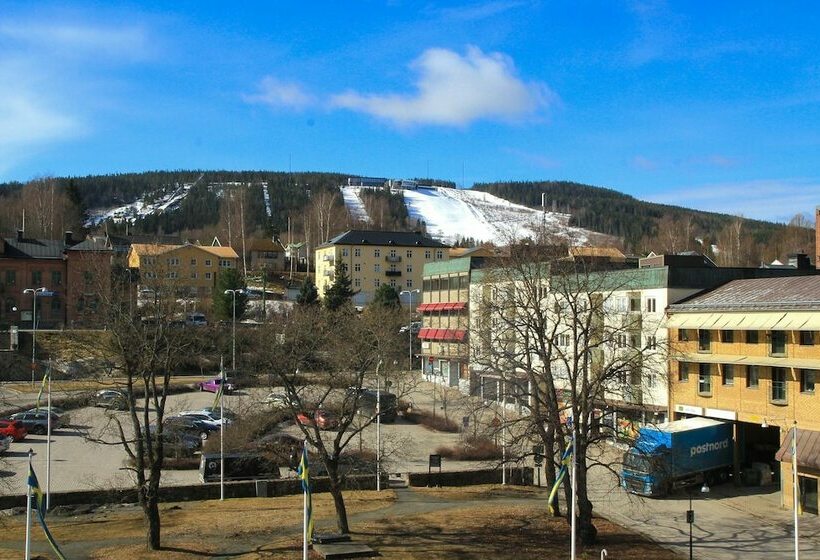 اتاق استاندارد یک نفره, Sollefteå
