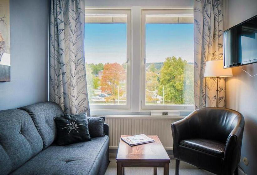 اتاق استاندارد یک نفره, Sollefteå