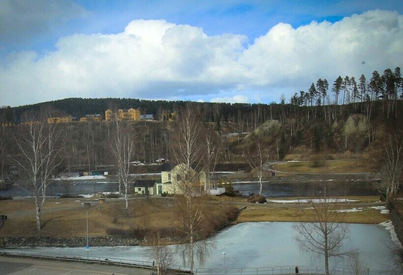 اتاق استاندارد یک نفره, Sollefteå