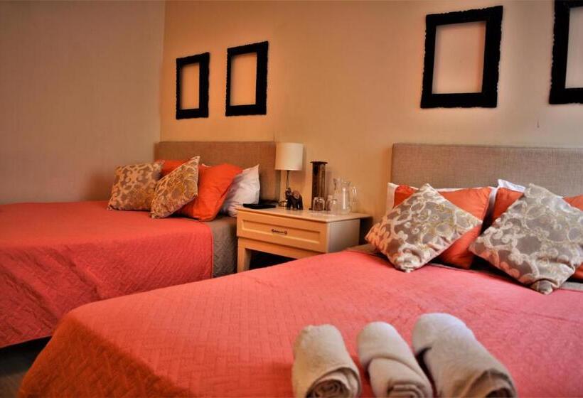 آپارتمان 1 خوابه همکف, Kangaroo Wasi Airport Bed & Breakfast