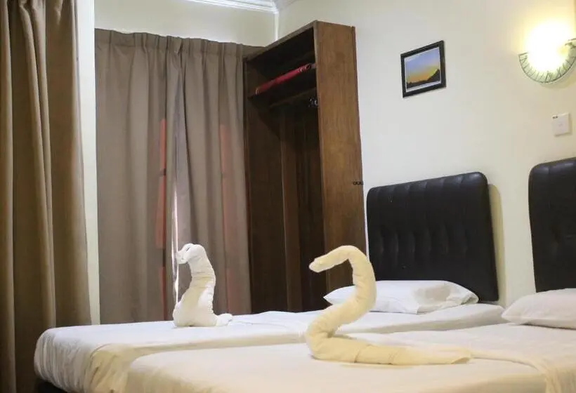 Standard-huone, Alonto