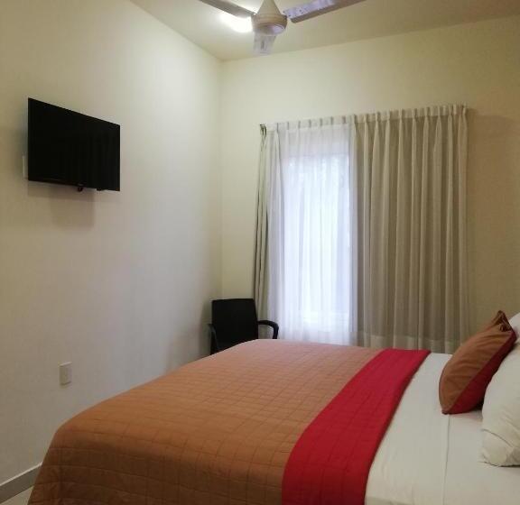 キングサイズベッドのスタンダードルーム, Nonni