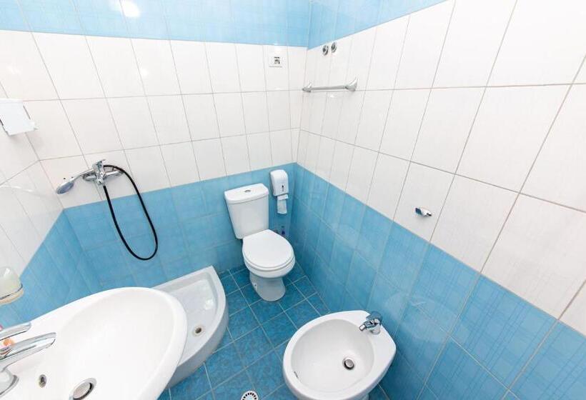 Deniz Manzaralı Aile Odası, Roi