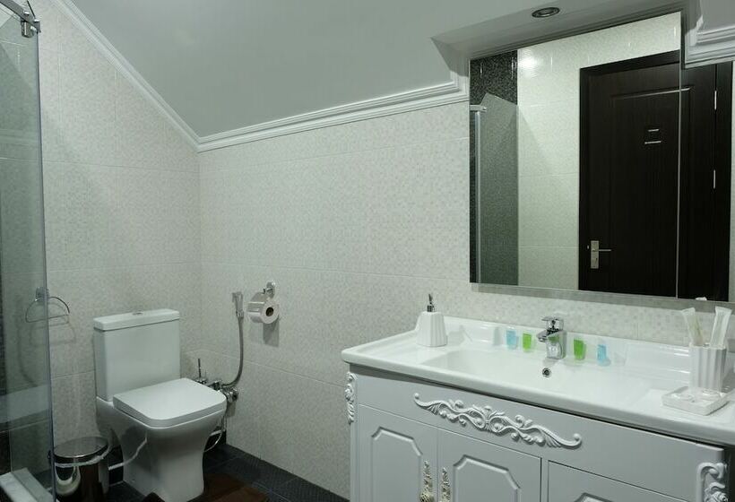 اتاق استاندارد با چشمانداز شهر, S&l Boutique