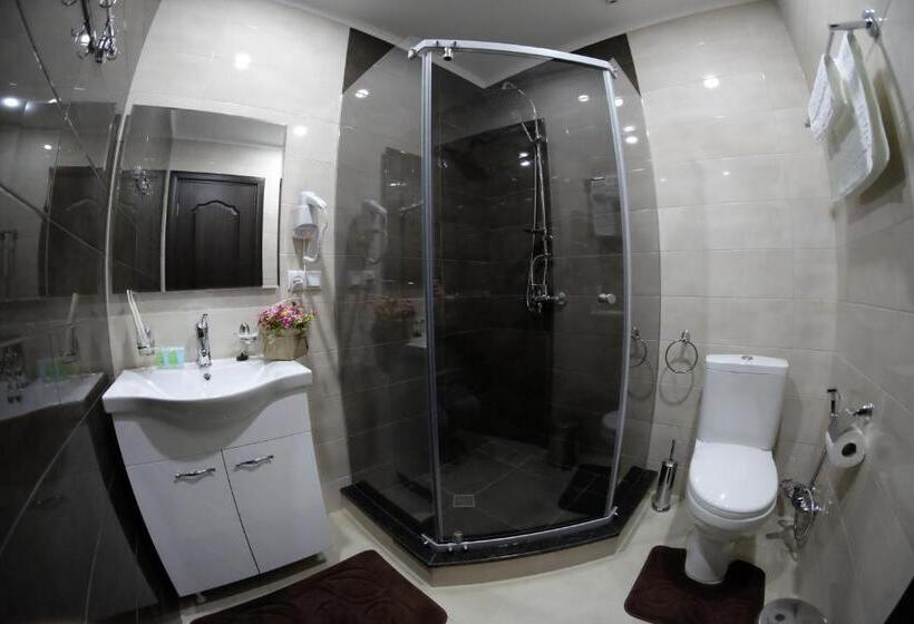 اتاق استاندارد با چشم‌انداز کوهستان, S&l Boutique