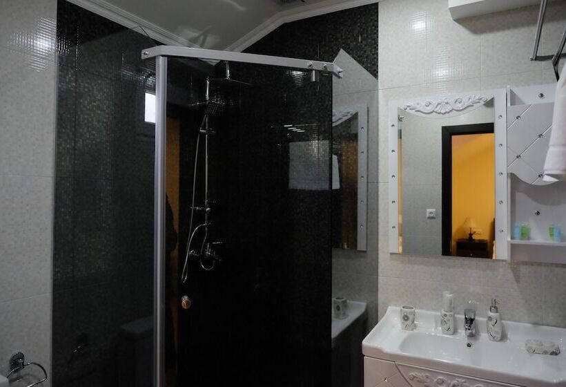 اتاق استاندارد, S&l Boutique