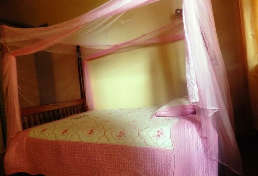 اتاق استاندارد یک نفره, Vine Inn