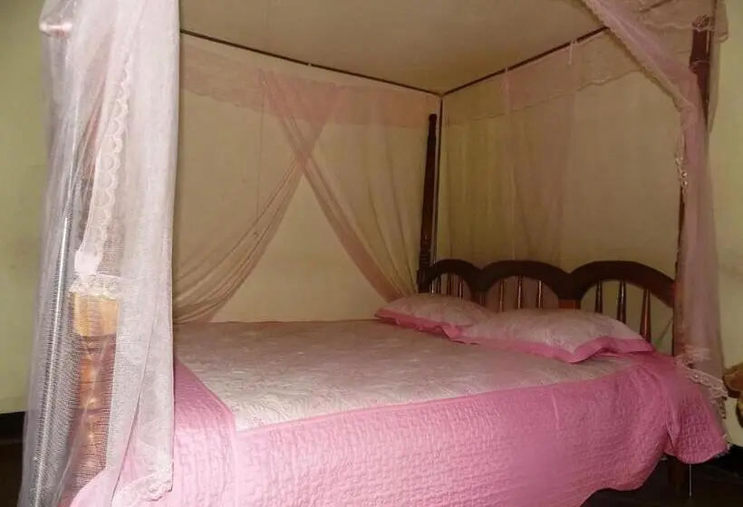 اتاق استاندارد, Vine Inn