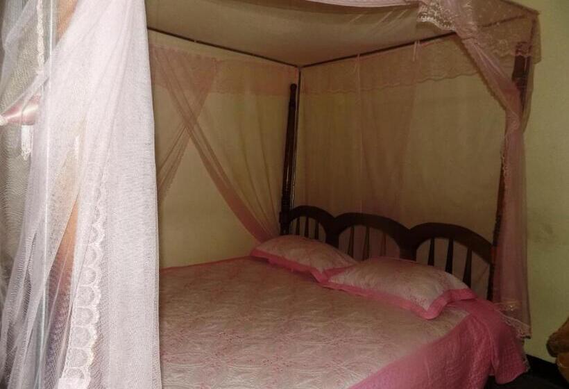 اتاق استاندارد, Vine Inn
