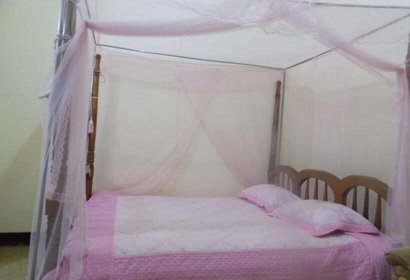 اتاق استاندارد, Vine Inn