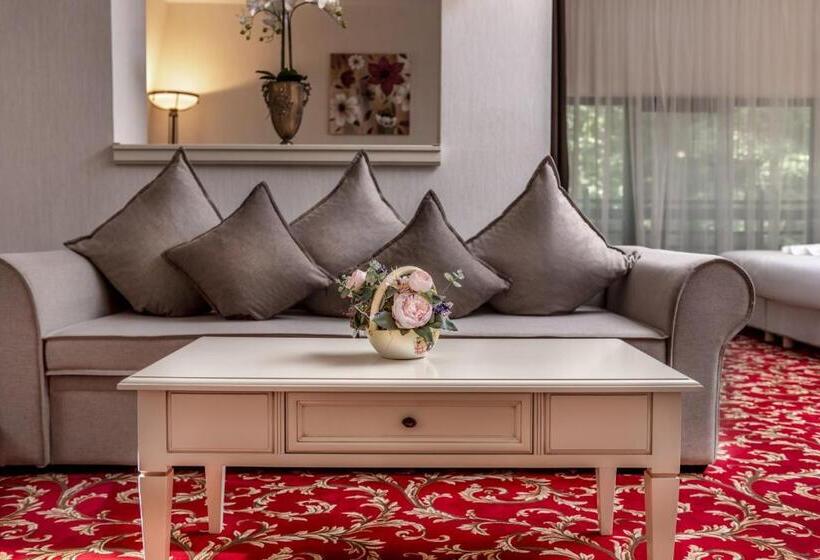 Апартаменты 1 Спальня, Rediu Hotel & Restaurant