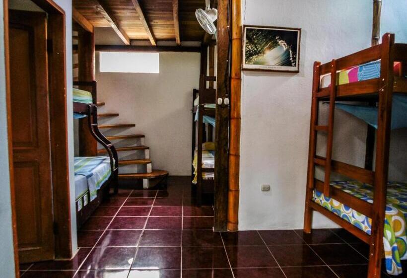 Вилла 1 Спальня Вид на Сад, Montañita Cabañas