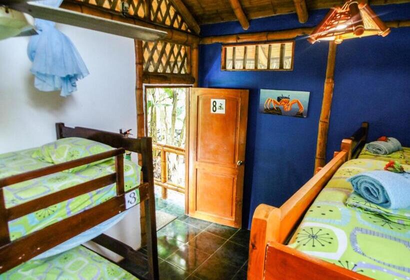 بنگله خانوادگی, Montañita Cabañas