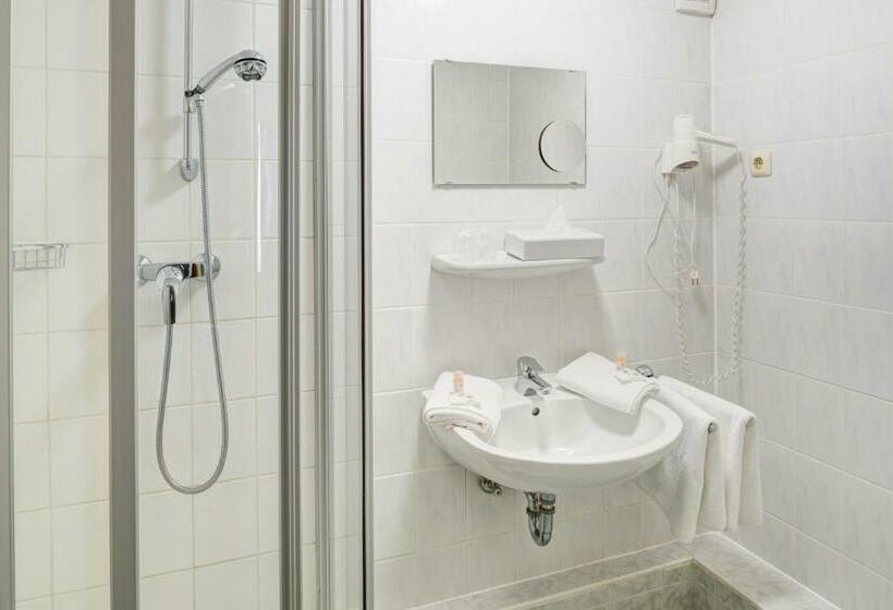 Номер Стандарт Индивидуальный, Ferienhotel Alter Bahnhof Garni