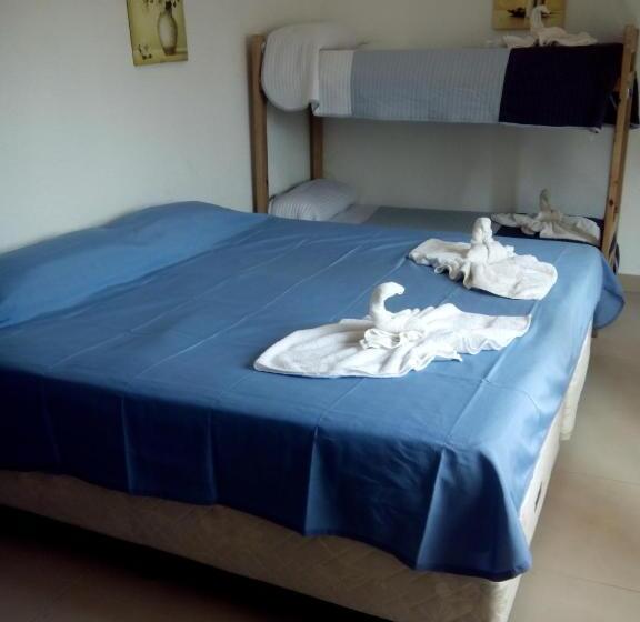 四人标准间, El Faro