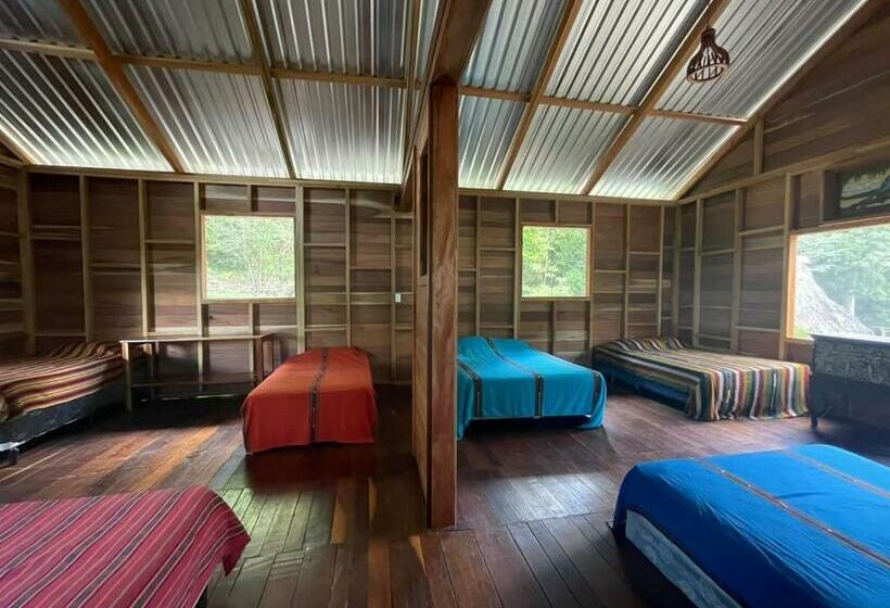 تختخواب در اتاق مشترک, Mon Ami