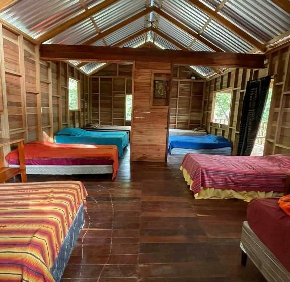 تختخواب در اتاق مشترک, Mon Ami