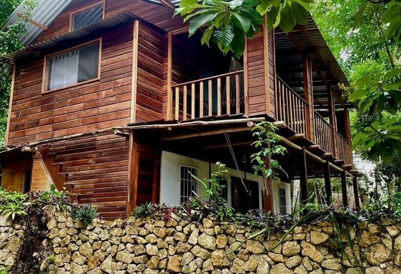 تختخواب در اتاق مشترک, Mon Ami