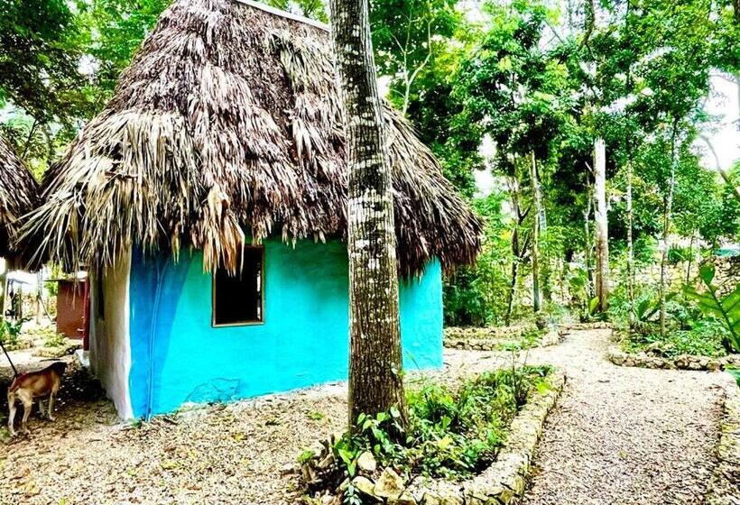 اتاق استاندارد با سرویس بهداشتی مشترک, Mon Ami