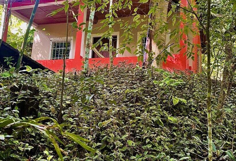 اتاق استاندارد, Mon Ami