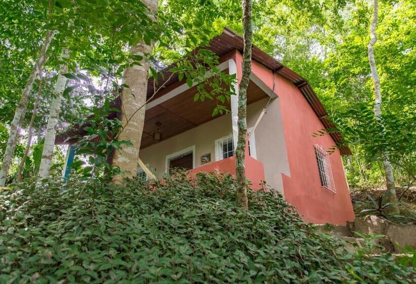 اتاق استاندارد, Mon Ami