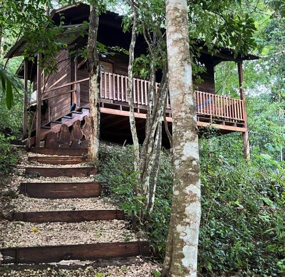 اتاق استاندارد سه نفره, Mon Ami