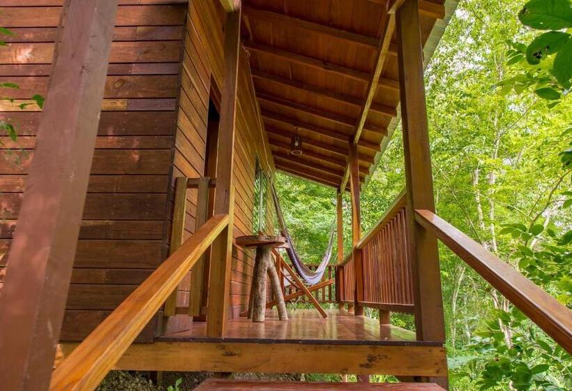 اتاق استاندارد سه نفره, Mon Ami