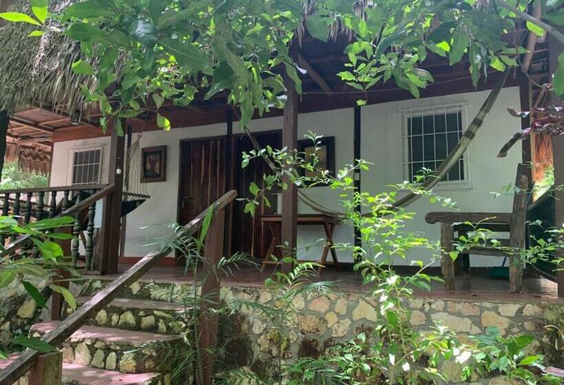 بانگلوی استاندارد, Mon Ami