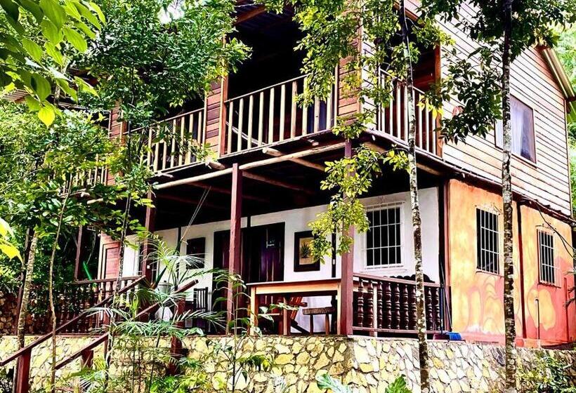 بانگلوی استاندارد, Mon Ami