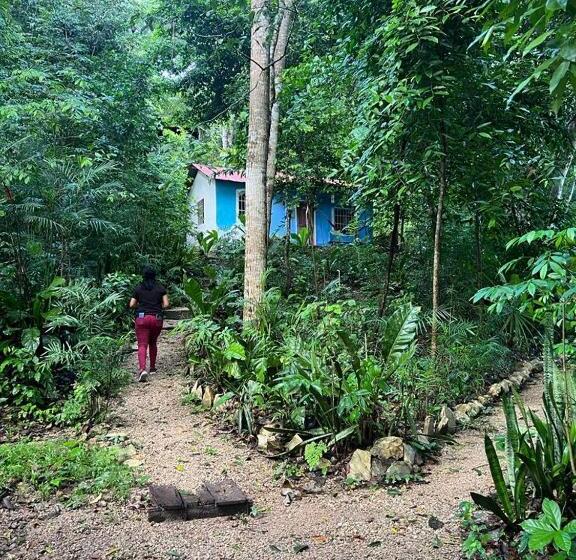 اتاق ساده سه نفره, Mon Ami