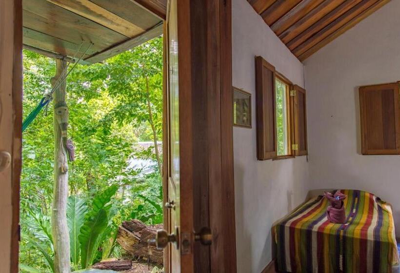 اتاق ساده سه نفره, Mon Ami