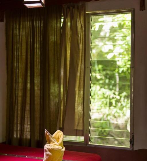 اتاق ساده سه نفره, Mon Ami