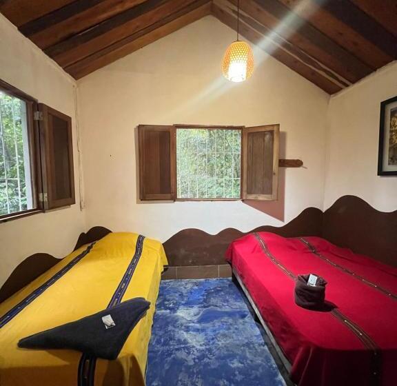 اتاق ساده سه نفره, Mon Ami