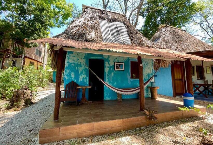 اتاق استاندارد با سرویس بهداشتی مشترک, Mon Ami