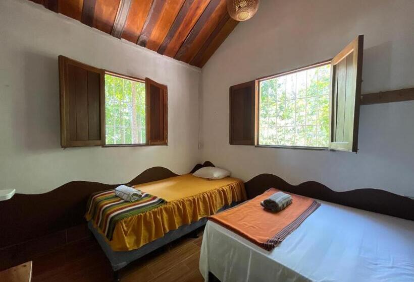 اتاق ساده سه نفره, Mon Ami