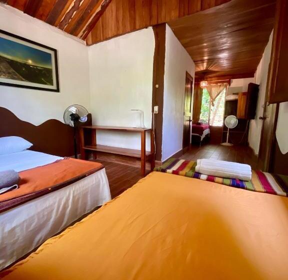 اتاق ساده سه نفره, Mon Ami