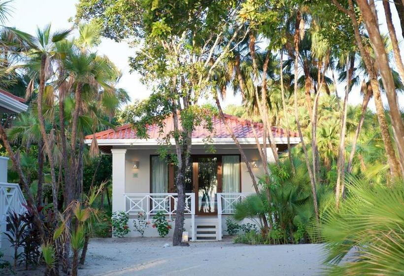 استودیو استاندارد با چشم‌انداز, Naïa Resort And Spa
