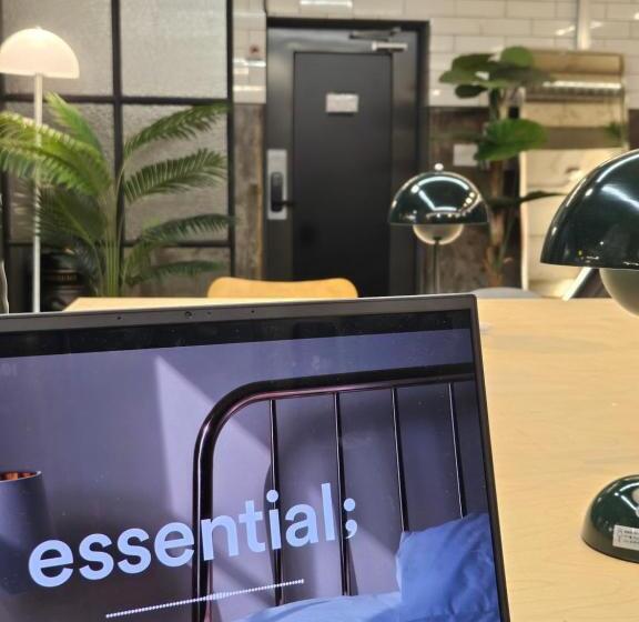 تختخواب در اتاق مشترک, Travel Light Hostel