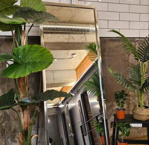 Bed in Shared Room with Shared Bathroom, Travel Light Hostel