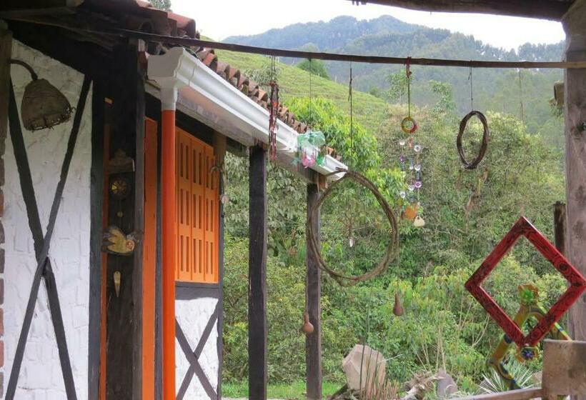 家庭间, Tarragona Hostal