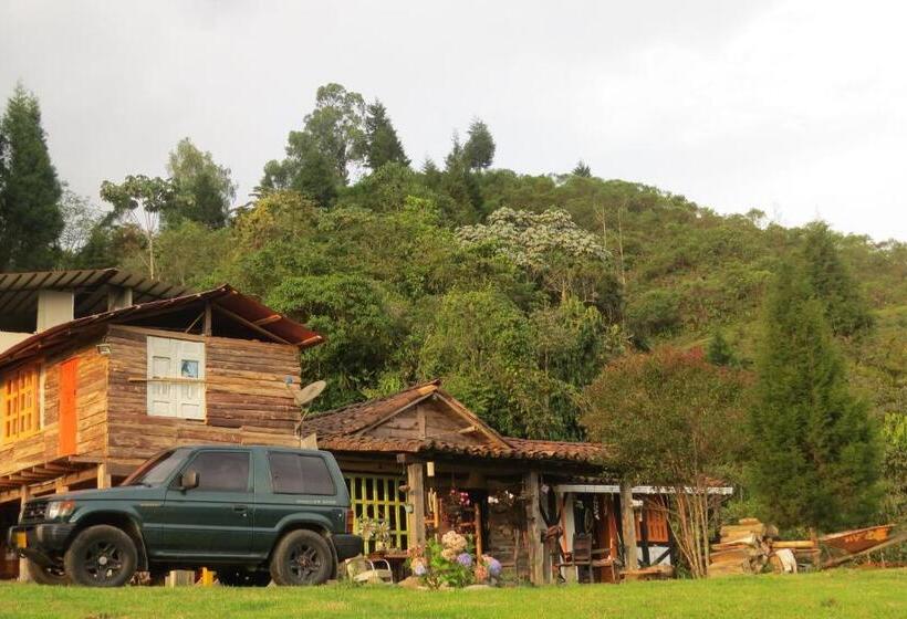 家庭间, Tarragona Hostal