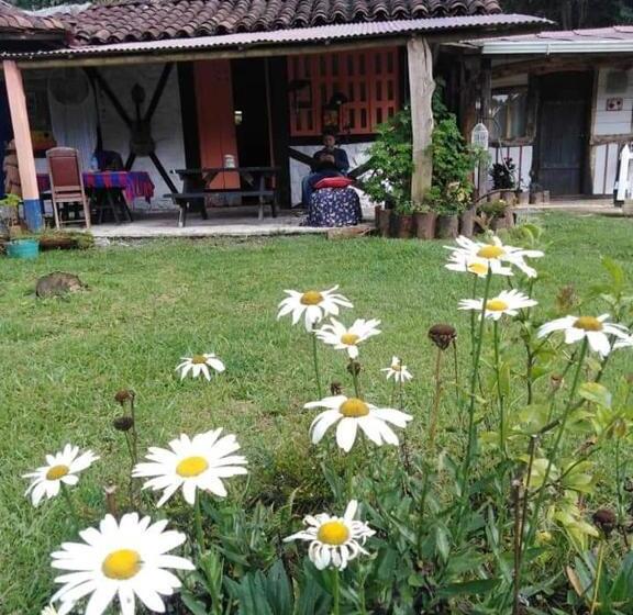 标准工作室带阳台, Tarragona Hostal