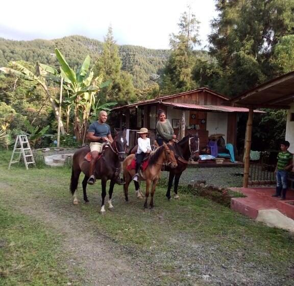 家庭间, Tarragona Hostal