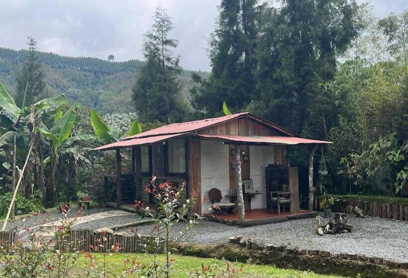 标准工作室带阳台, Tarragona Hostal