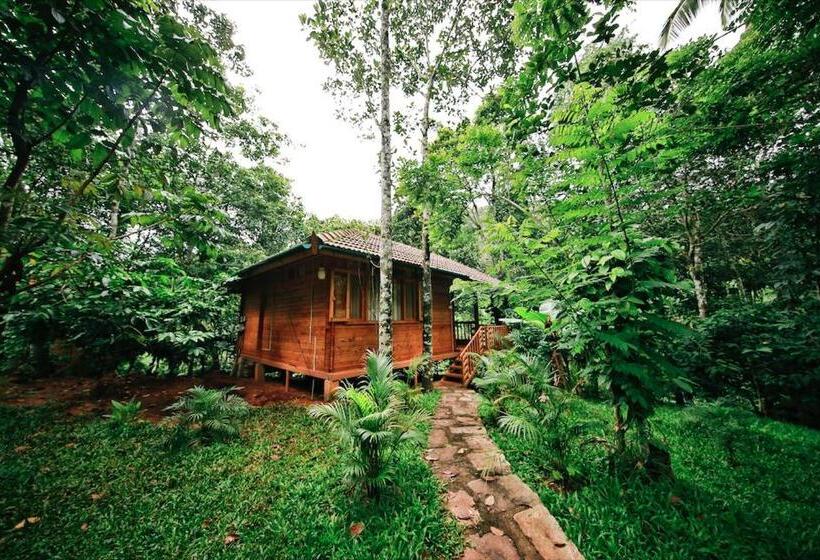 Семейный Номер, Bamboo Creek Resort